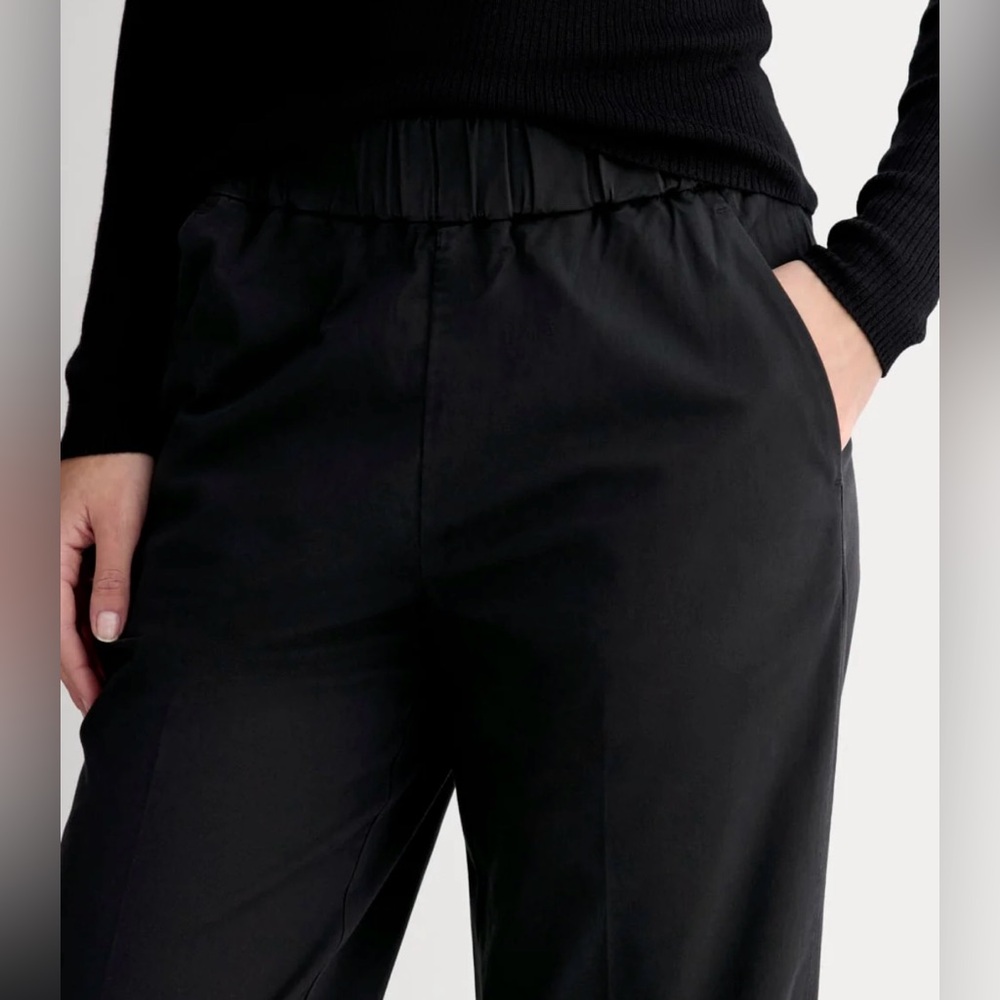 Everlane Black Wide-Leg Elastic Waist Pants Comfort 10